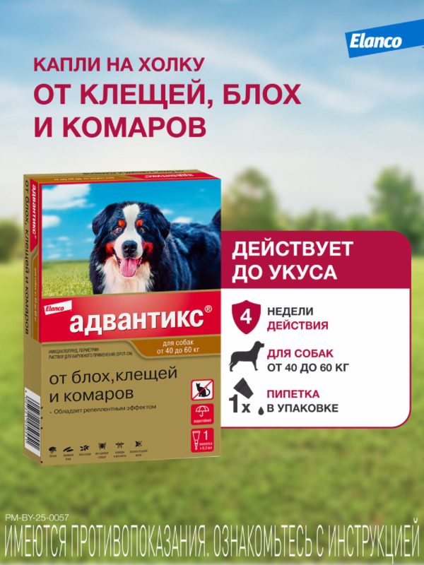Адвантикс®  для собак от 40 до 60 кг для защиты от блох, иксодовых клещей и летающих насекомых и переносимых ими заболеваний. 1 пипетка в упаковке. (1 * 6,0 мл)