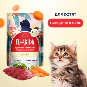 Для котят: кусочки с говядиной и морковью в желе, 1 шт. Влажный корм (85 г)