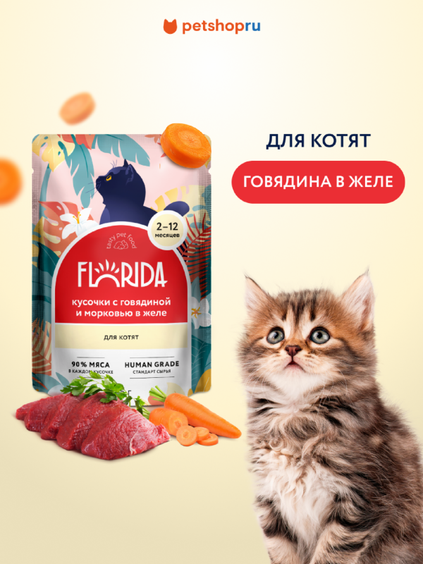 Для котят: кусочки с говядиной и морковью в желе, 1 шт. Влажный корм (85 г)