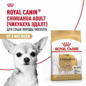 Корм сухой для взрослых собак породы Чихуахуа от 8 месяцев, Chihuahua Adult (1.5 кг)