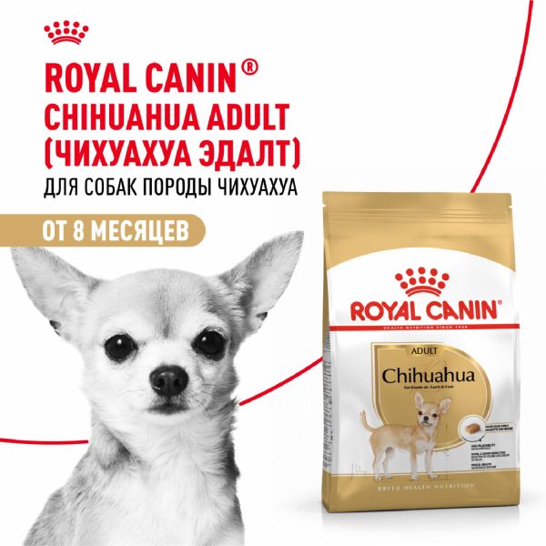 Корм сухой для взрослых собак породы Чихуахуа от 8 месяцев, Chihuahua Adult (1.5 кг)