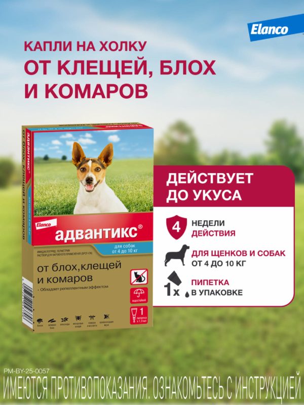 Адвантикс®  для собак от 4 до 10 кг для защиты от блох, иксодовых клещей и летающих насекомых и переносимых ими заболеваний. 1 пипетка в упаковке. (1 * 1 мл)