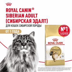 Корм сухой для взрослых кошек породы Сибирская от 12 месяцев, Siberian Adult (2 кг)