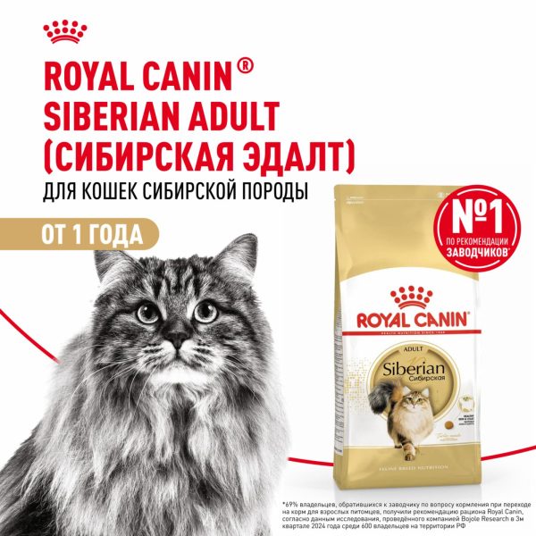 Корм сухой для взрослых кошек породы Сибирская от 12 месяцев, Siberian Adult (2 кг)