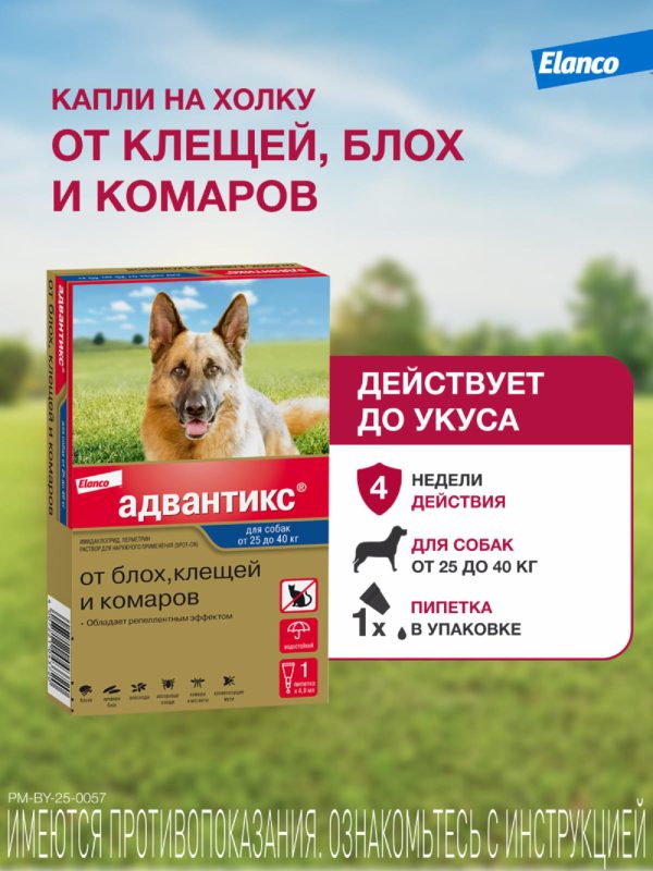 Адвантикс®  для собак от 25 до 40 кг для защиты от блох, иксодовых клещей и летающих насекомых и переносимых ими заболеваний. 1 пипетка в упаковке. (1 * 4,0 мл)