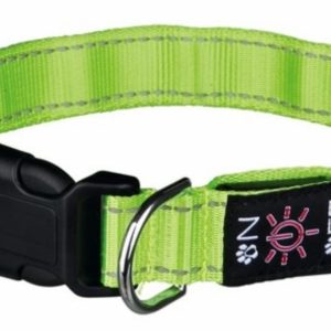 Светящийся USB-ошейник для собак, зелёный (L-XL)