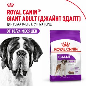 Корм сухой для взрослых собак очень крупных размеров от 18 месяцев, Giant Adult (4 кг)