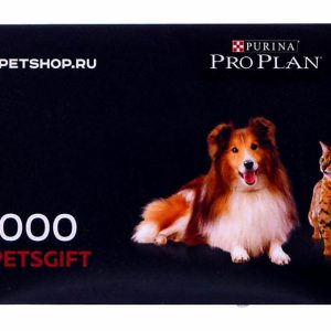 Подарочный сертификат на 5000 рублей (1 г)