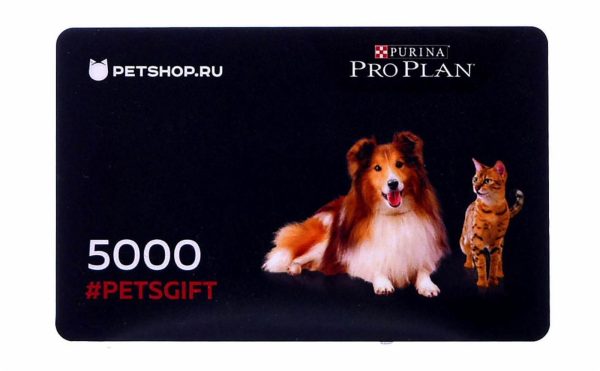 Подарочный сертификат на 5000 рублей (1 г)