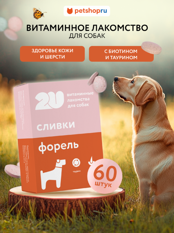 Мультивитаминное лакомство для собак для красивой кожи и шерсти с биотином, Doggy's beaty Skin&Coat, 60 шт (60 шт)