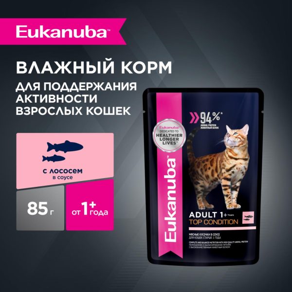 Паучи для кошек с лососем в соусе, 24 шт (24 шт)