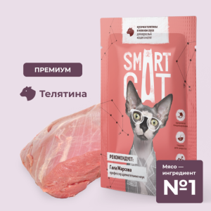 Паучи для взрослых кошек и котят кусочки телятины в нежном соусе. Влажный корм (85 г)