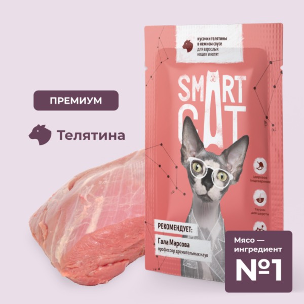 Паучи для взрослых кошек и котят кусочки телятины в нежном соусе. Влажный корм (85 г)