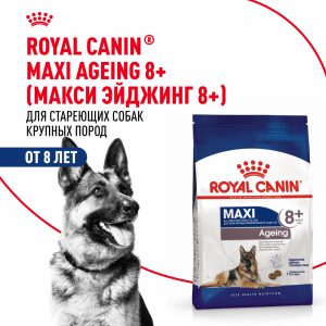 Корм сухой для стареющих собак крупных размеров от 8 лет и старше, Maxi Ageing 8+ (15 кг)