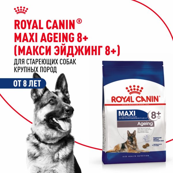 Корм сухой для стареющих собак крупных размеров от 8 лет и старше, Maxi Ageing 8+ (15 кг)