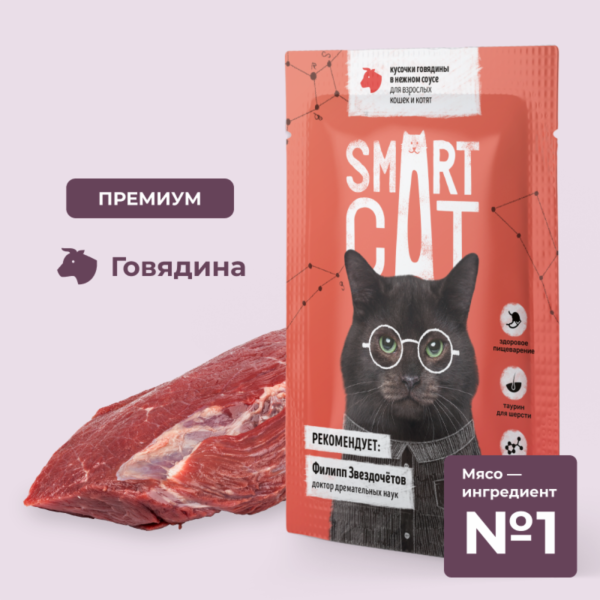Паучи для взрослых кошек и котят кусочки говядины в нежном соусе. Влажный корм (85 г)