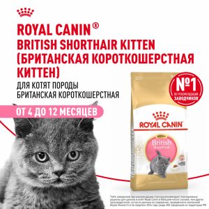 Корм сухой сбалансированный для британских короткошерстных котят, British Shorthair Kitten (10 кг)