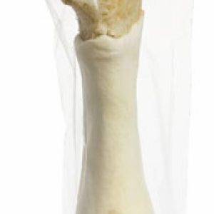 Нога говяжья - мягкая упаковка (850 г)