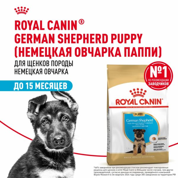 Корм сухой для щенков породы Немецкая овчарка до 15 месяцев, German Shepherd Puppy (3 кг)
