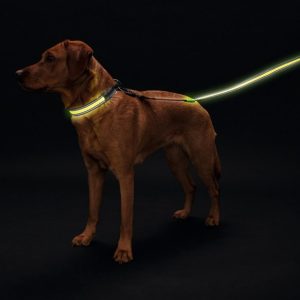 Hunter LED Поводок Manoa Glow, желтый (120 см)