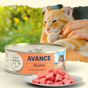 Для кошек и котят с индейкой, Natural&Healthy Turkey, 100 г (100 г)