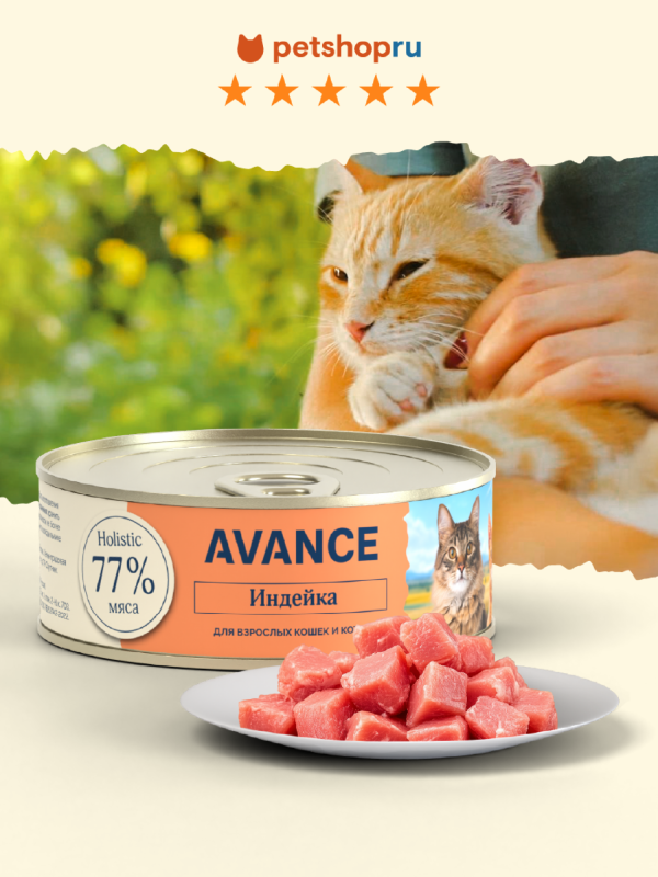 Для кошек и котят с индейкой, Natural&Healthy Turkey, 100 г (100 г)