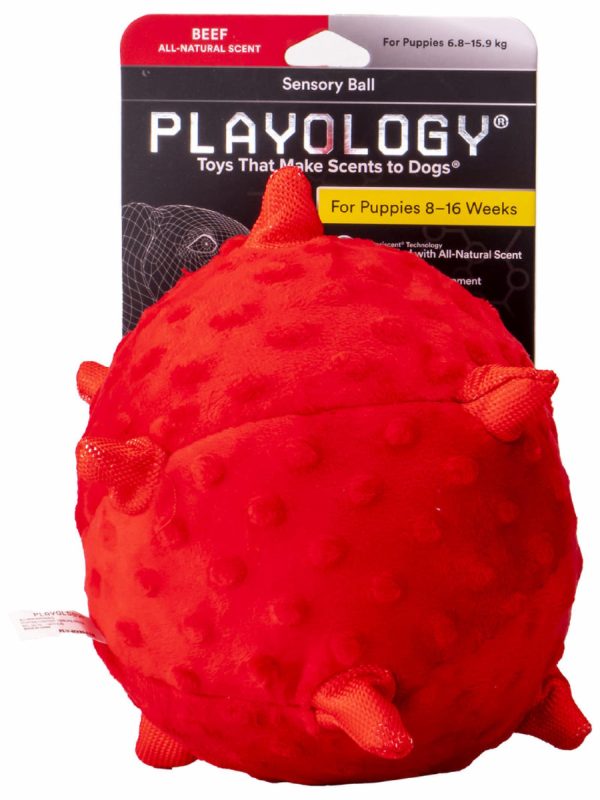 Сенсорный плюшевый мяч Playology PUPPY SENSORY BALL для щенков мелких и средних пород 8-16 недель с ароматом говядины (11 см)