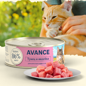 Для кошек и котят с тунцом и индейкой, Natural&Healthy Tuna with Turkey, 100 г, Влажный корм (100 г)