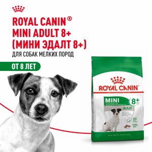 Корм сухой для взрослых собак мелких размеров (до 10 кг) старше 8 лет, Mini Adult 8+ (2 кг)
