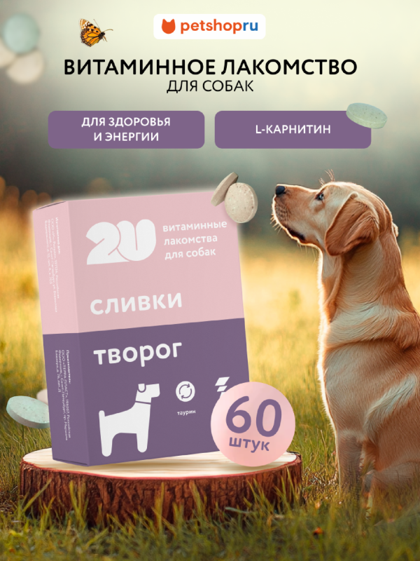 Мультивитаминное лакомство для собак для здоровья и энергии с L-карнитином, Doggy's energy+, 60шт (60 шт)