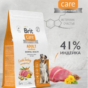 Сухой корм с индейкой для взрослых собак средних пород, для здоровья зубов (3 кг)