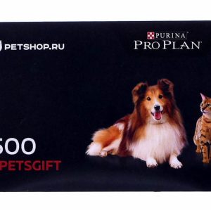 Подарочный сертификат на 500 рублей (1 г)
