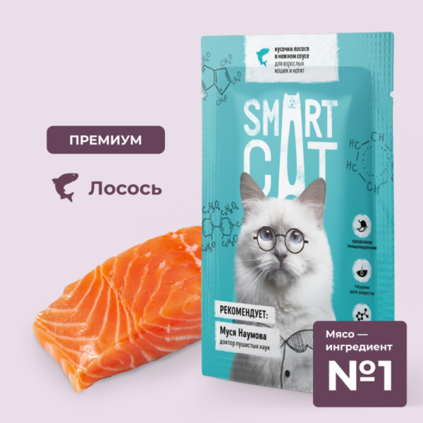 Паучи для взрослых кошек и котят кусочки лосося в нежном соусе. Влажный корм (85 г)