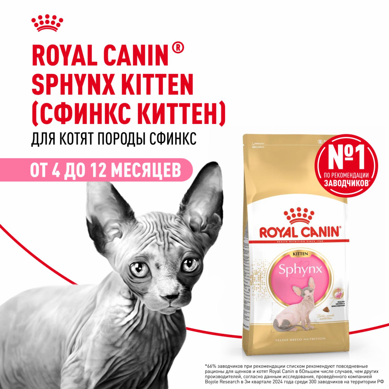 Корм сухой сбалансированный для котят породы Сфинкс до 12 месяцев, Sphynx Kitten (400 г)