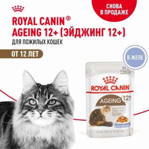 Паучи для кошек старше 12 лет, кусочки в желе, Ageing 12+ (85 г)