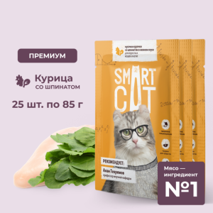 "Упаковка 25 шт" Паучи для взрослых кошек и котят кусочки курочки со шпинатом в нежном соусе. Влажный корм (25 шт)