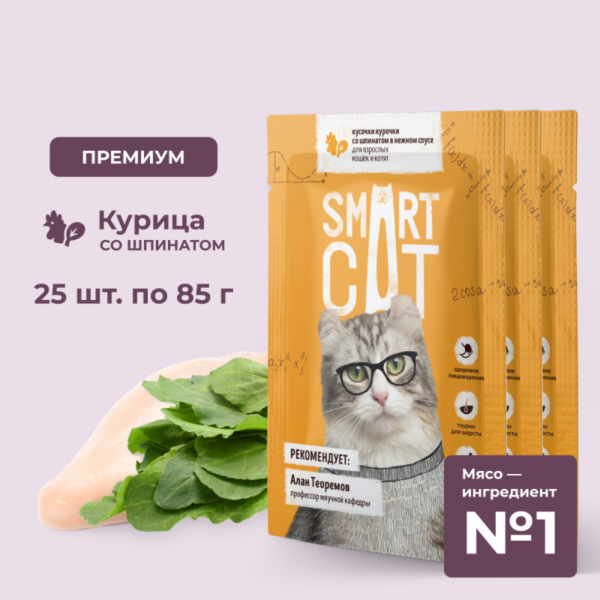 "Упаковка 25 шт" Паучи для взрослых кошек и котят кусочки курочки со шпинатом в нежном соусе. Влажный корм (25 шт)