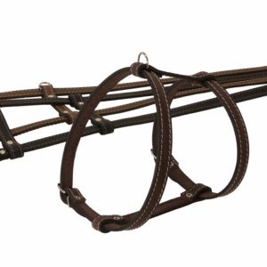 Шлейка кожаная (70х2 см)