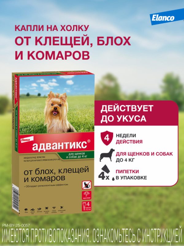 Адвантикс®  для собак весом до 4 кг для защиты от блох, иксодовых клещей и летающих насекомых и переносимых ими заболеваний. 4 пипетки в упаковке. (10 г)