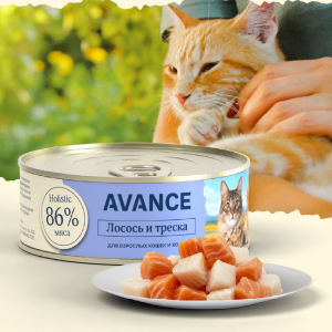 Для кошек и котят с лососем и треской, Natural&Healthy Salmon&Cod, 100 г, Влажный корм (100 г)