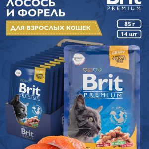 Пауч для взрослых кошек с  лососем и форелью, 14 шт (14 шт)
