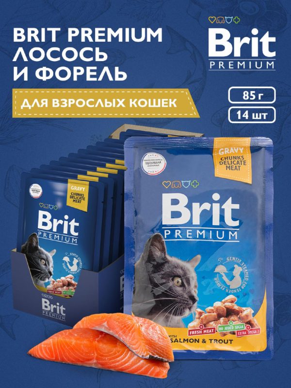 Пауч для взрослых кошек с  лососем и форелью, 1 шт (1 шт)