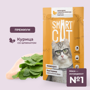 Паучи для взрослых кошек и котят кусочки курочки со шпинатом в нежном соусе. Влажный корм (85 г)