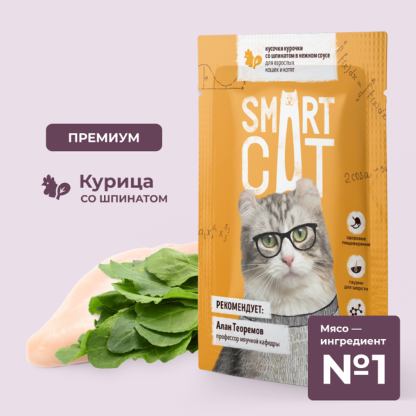 Паучи для взрослых кошек и котят кусочки курочки со шпинатом в нежном соусе. Влажный корм (85 г)