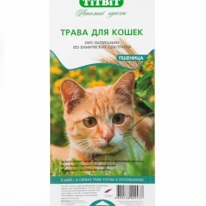 Травка для кошек (пшеница) (50 г)