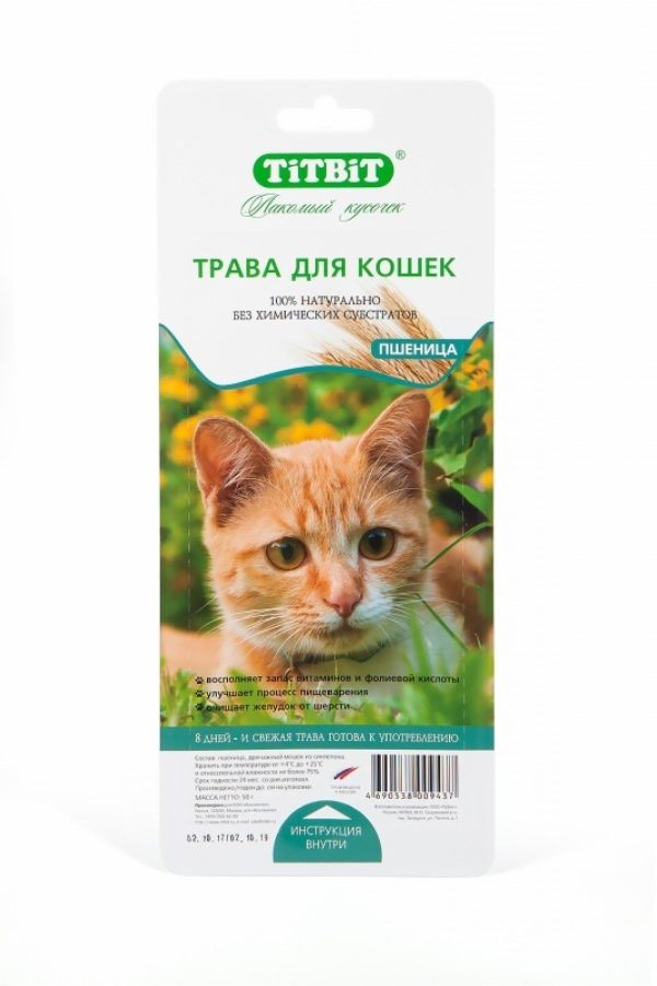 Травка для кошек (пшеница) (50 г)