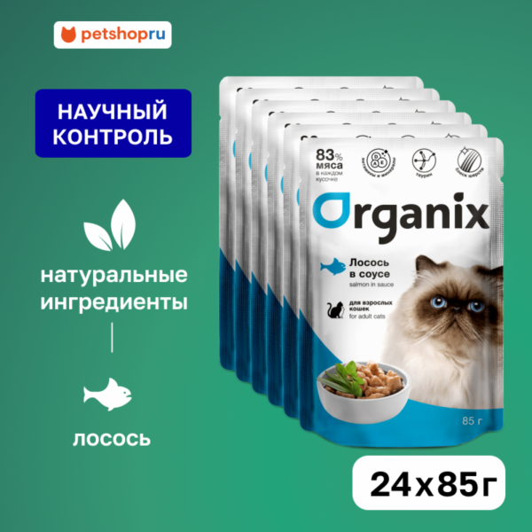 "Упаковка" для взрослых кошек: лосось в соусе (24 шт)