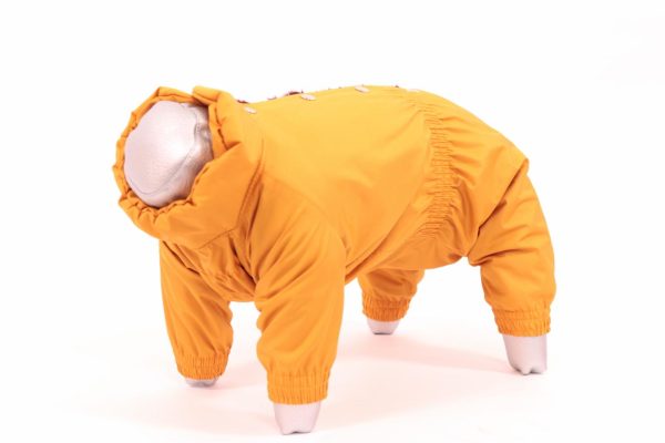 Комбинезон для собак, Манго, девочка (XL)