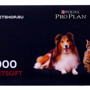 Подарочный сертификат на 1000 рублей (1 г)
