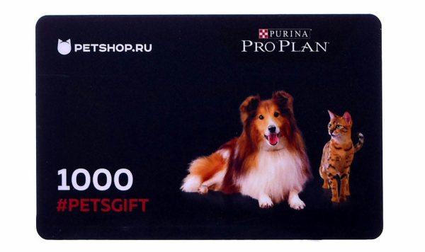 Подарочный сертификат на 1000 рублей (1 г)